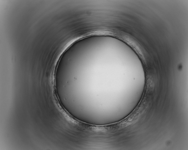 X0000099300852200805090952