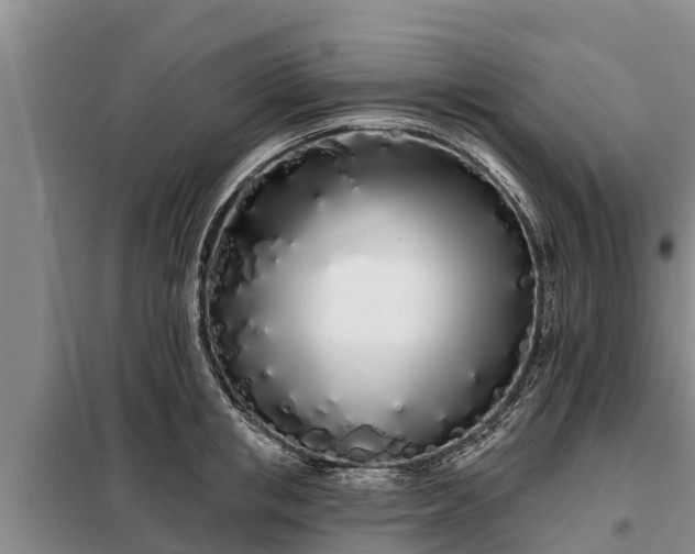 X0000099300853200805090952