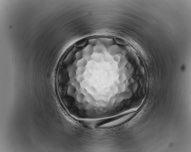 X0000099300854200805090952