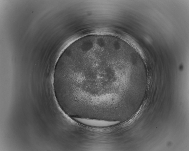 X0000099300855200805090952