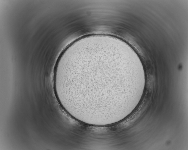 X0000099300856200805090952