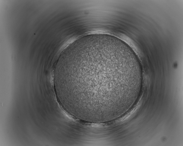 X0000099300857200805090952