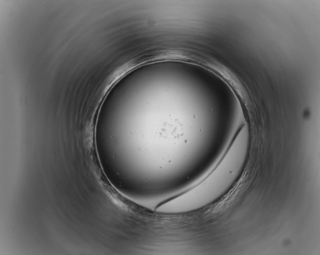 X0000099300858200805090952