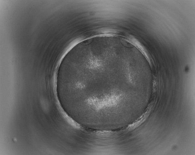 X0000099300859200805090952