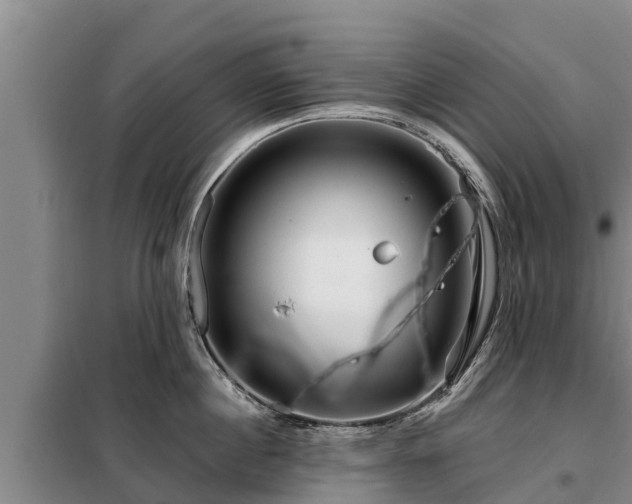 X0000099300860200805090953