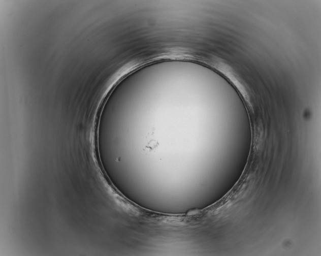 X0000099300861200805090953