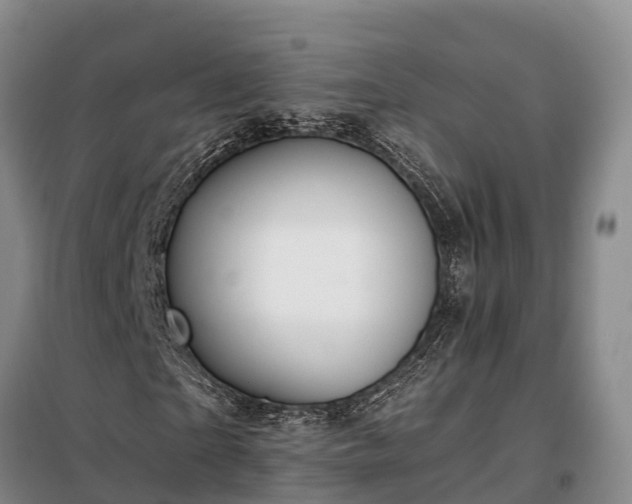 X0000099300865200805090952