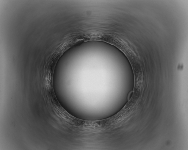 X0000099300866200805090952