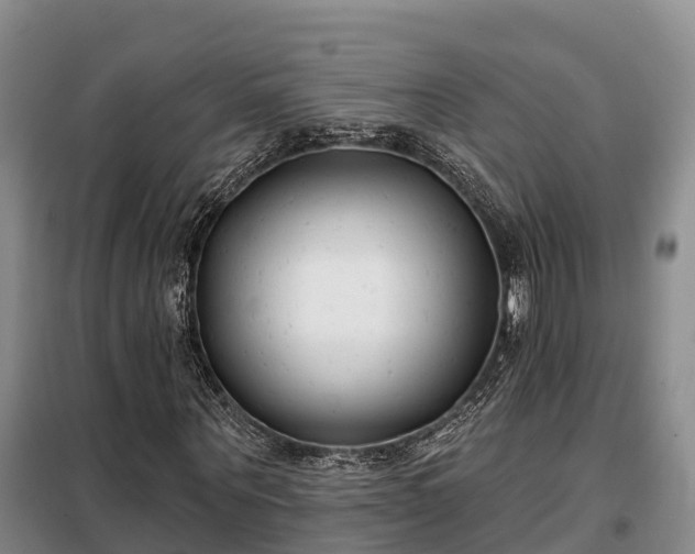 X0000099300867200805090952