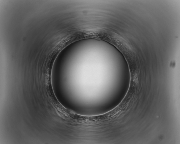 X0000099300868200805090952