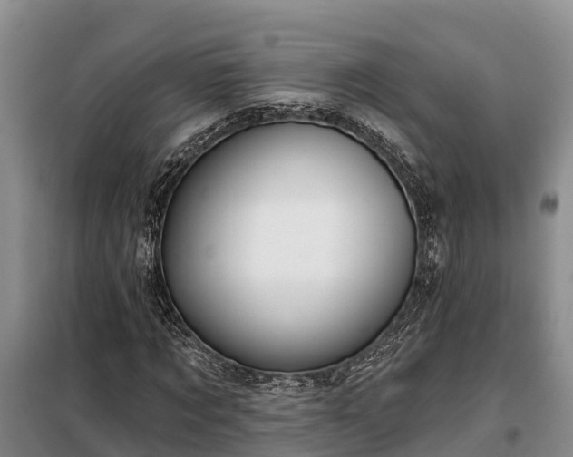 X0000099300869200805090952