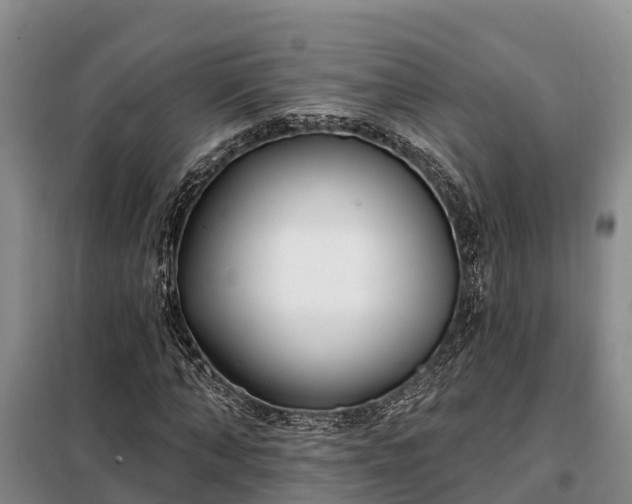 X0000099300870200805090952