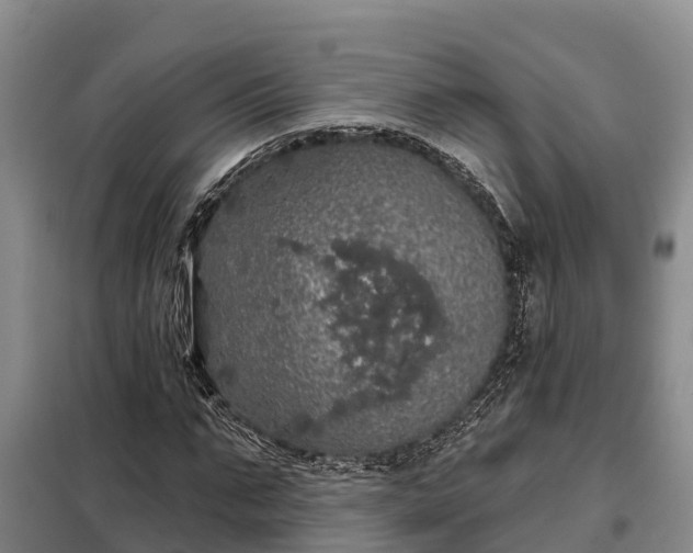 X0000099300871200805090952