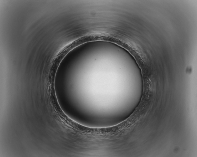 X0000099300872200805090952