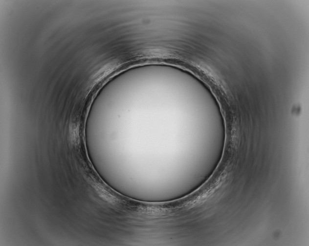 X0000099300873200805090952