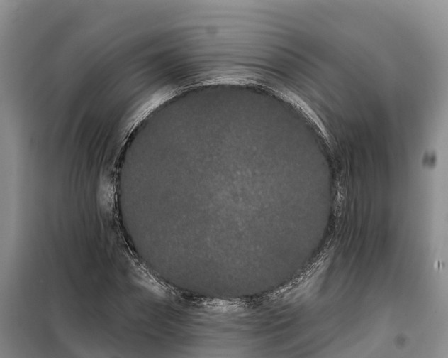 X0000099300874200805090952