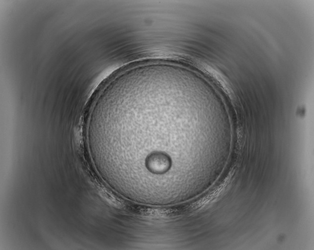 X0000099300875200805090952