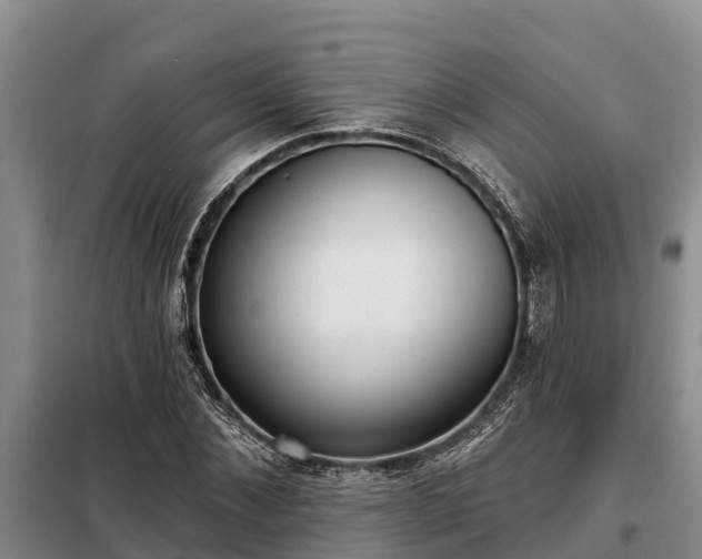 X0000099300876200805090952