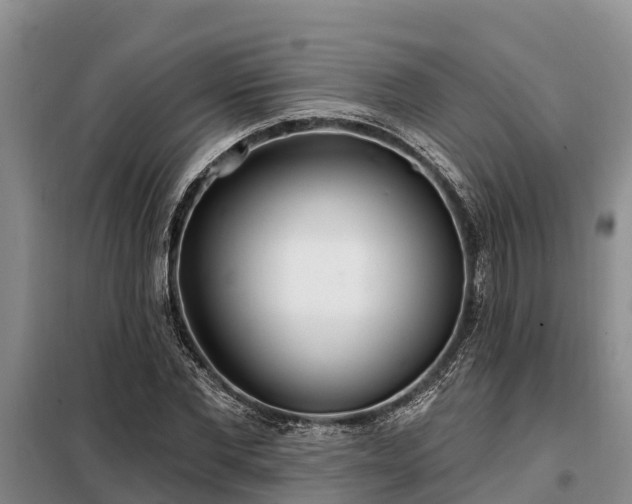 X0000099300877200805090952