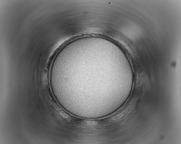 X0000099300878200805090952