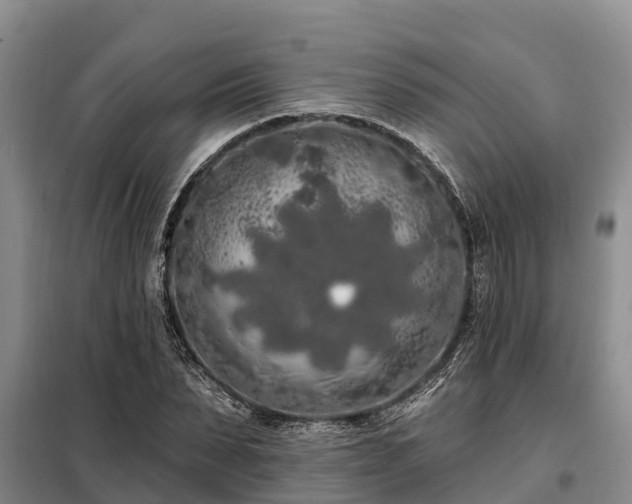 X0000099300879200805090952