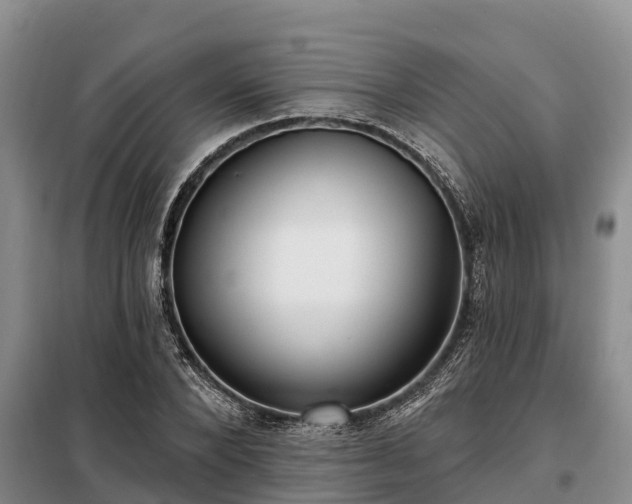 X0000099300880200805090952