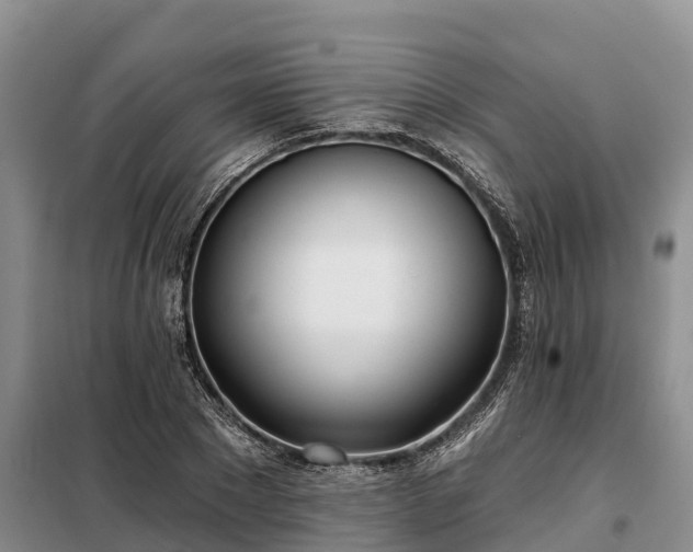 X0000099300881200805090952