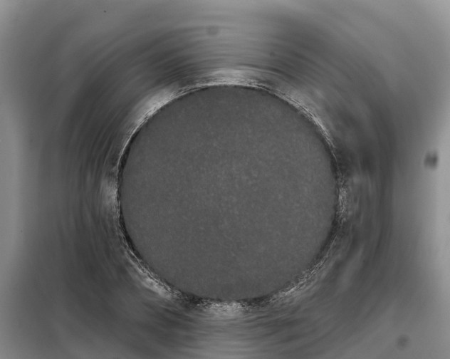 X0000099300882200805090952