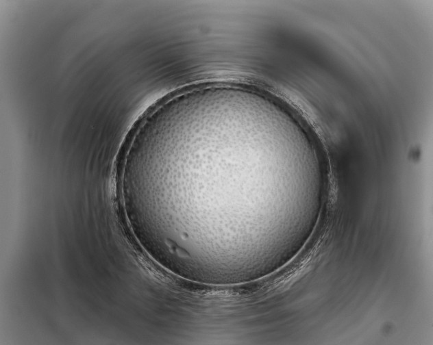 X0000099300883200805090952