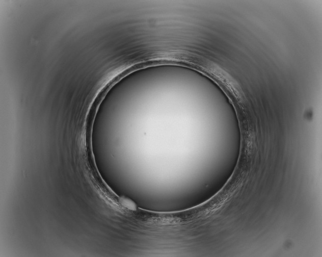 X0000099300884200805090952