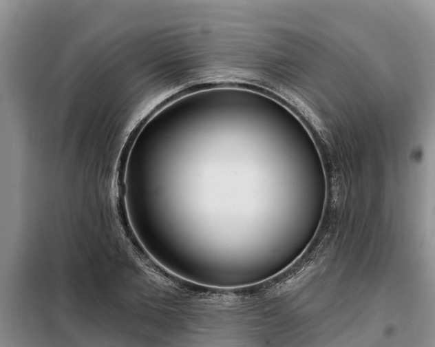 X0000099300885200805090952