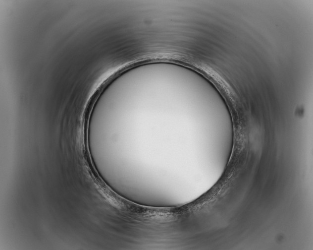 X0000099300886200805090952