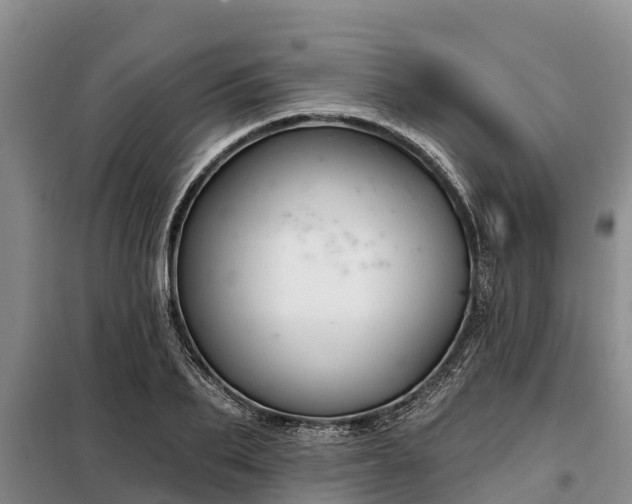 X0000099300887200805090952