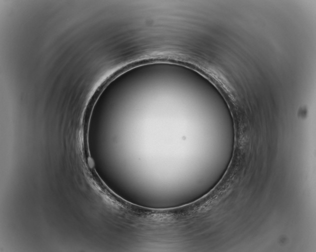 X0000099300888200805090952