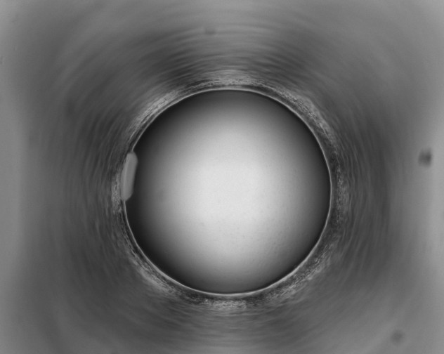 X0000099300889200805090952