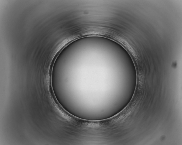 X0000099300890200805090952