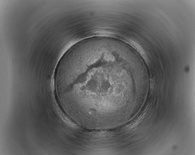 X0000099300891200805090952