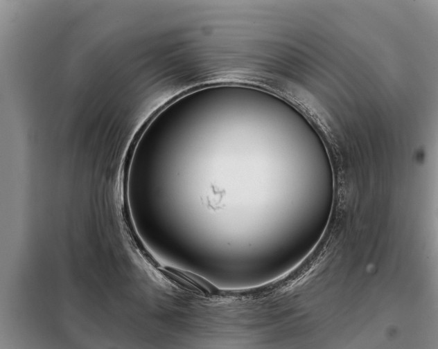 X0000099300892200805090952