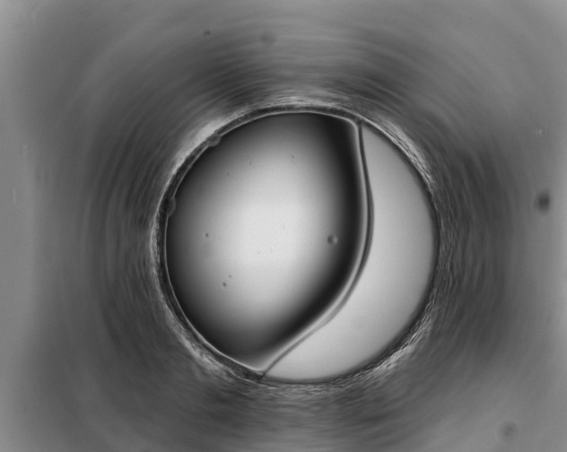 X0000099300893200805090952