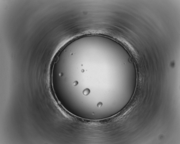 X0000099300894200805090952