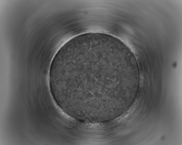 X0000099300895200805090951