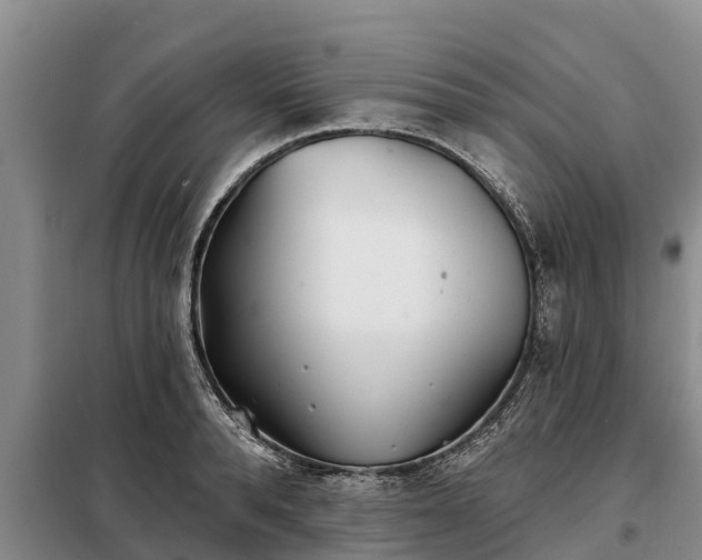 X0000099300896200805090951