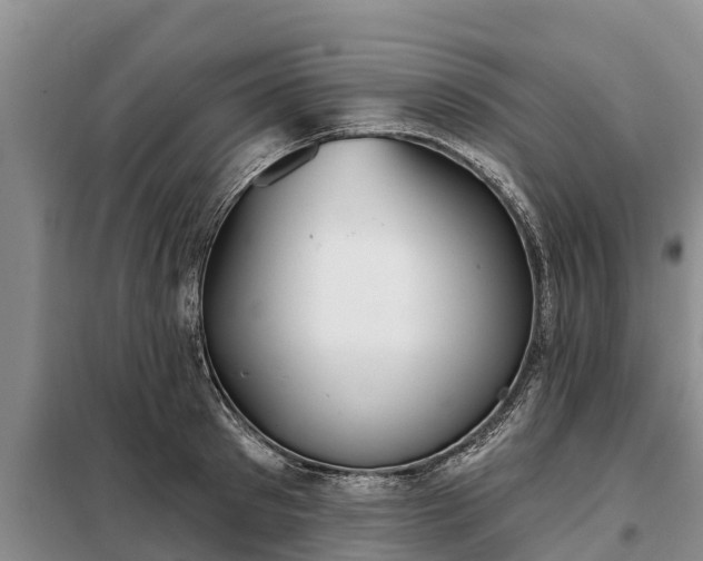 X0000099300897200805090951