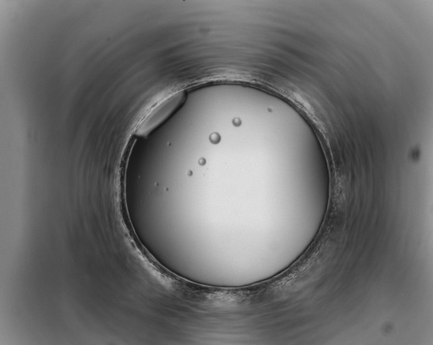 X0000099300898200805090951