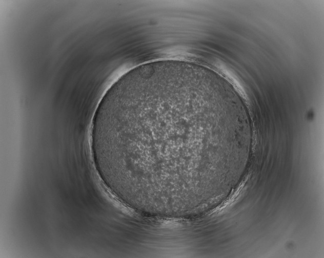 X0000099300899200805090951