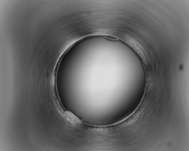 X0000099300900200805090951