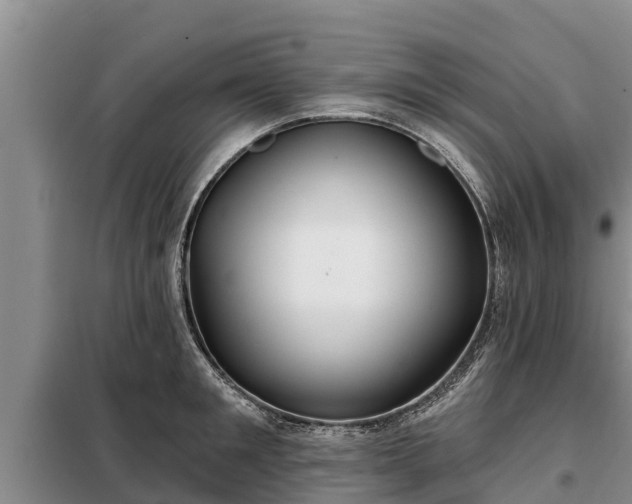 X0000099300901200805090951