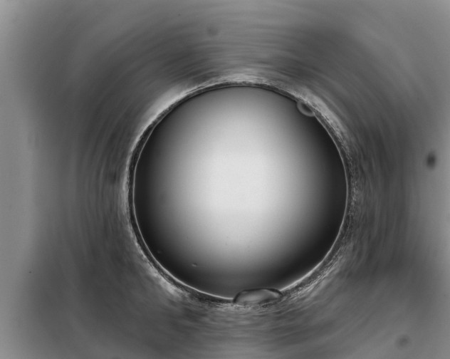 X0000099300902200805090951