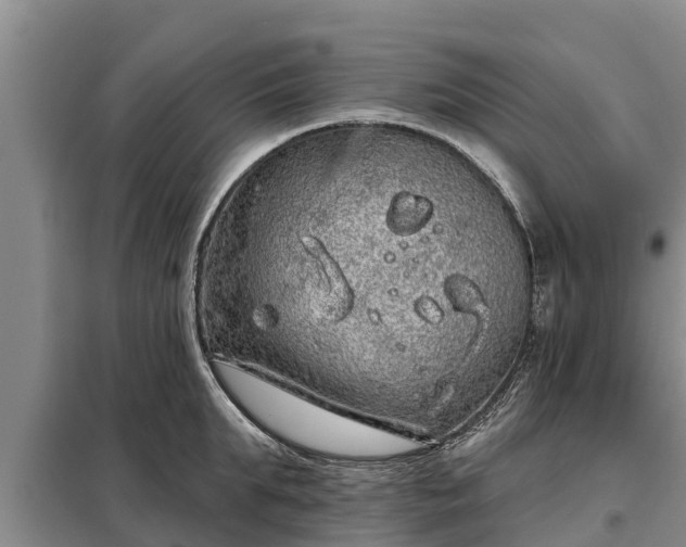 X0000099300903200805090951