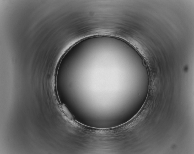 X0000099300904200805090951